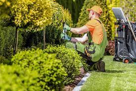 Landscape Maintenance San Francisco