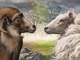 the sheep and the goat debbie clark art