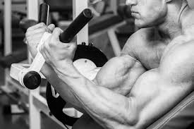 mive arms workout add an inch to