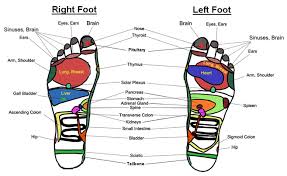 Reflexology Hand And Foot Charts Free Herbs Info