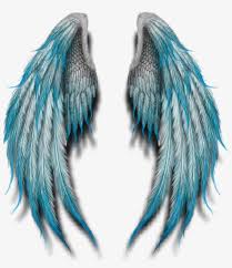 Angelwings Angels Angel Wings Feathers