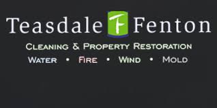 teasdale fenton carpet cleaning and