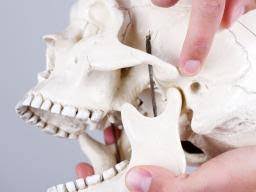 Maybe you would like to learn more about one of these? Jaw Pain Causes Symptoms And Treatment