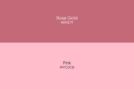 cdn picsart com 2022 08 rose versus pink 780x5