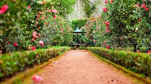 botanical garden venues for