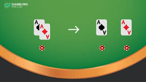 blackjack strategy guide for how to
