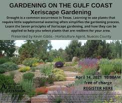 Gardening On The Gulf Coast Xeriscape