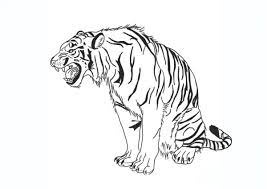 Tổng hợp tranh tô màu con hổ cho bé - Tranh Tô Màu cho bé
