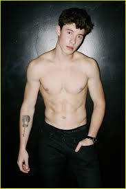 25 best ideas about Shawn mendes shirtless on Pinterest