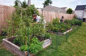 vegetable garden layout planning