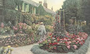 English Gardener At Giverny