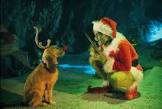 Jeffrey J. Sachs Christmas in New York Movie