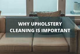 upholstery cleaning it s more