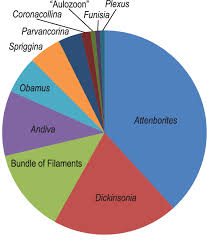 Pie Chart Of Relative Proportions Of Fossil Taxa On Tb Arb