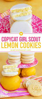 scout cookies lemon cookie recipe