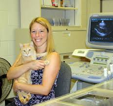 Your cat may need anesthesia for a number of reasons throughout her lifetime. Hypertrophic Cardiomyopathy In Cats Hcm