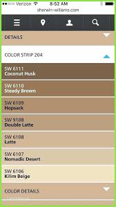 Purple Shades Of Brown Paint Chart Grey Color Poiskovinfo
