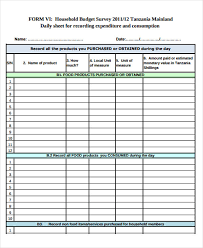 8 Daily Budget Templates Free Sample Example Format