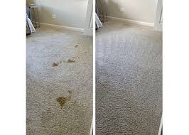all in one carpet cleaning home