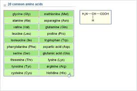 Chemistry Upper Secondary Ydp Chart 20 Common Amino
