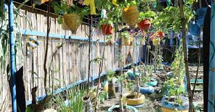 Urban Gardening Eyed Vs El Niño