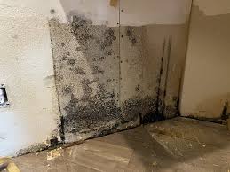 mold reation vail and surrounding