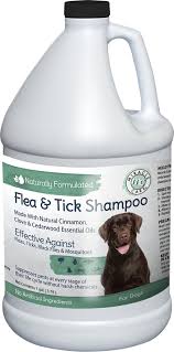 natural flea tick shoo for dogs