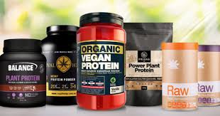 vegan protein powder for weight loss