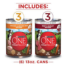 Purina One Smartblend Tender Cuts In Gravy Adult Wet Dog