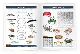 seas wildlife nature activity book