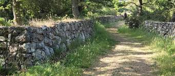Stone Walls A Symbol Of New England S