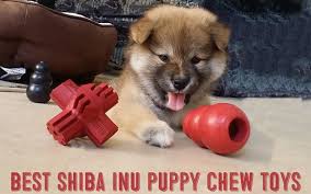 shiba inu puppy chew toys the 10 best
