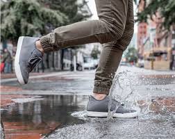 the best waterproof running shoes for