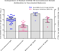 The novavax vaccine works by teaching the immune system to make antibodies to the spike while the nanoparticles mimicked the molecular structure of the coronavirus, they could not replicate or. Sars Cov 2 Spike Glycoprotein Vaccine Candidate Nvx Cov2373 Elicits Immunogenicity In Baboons And Protection In Mice Biorxiv