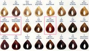 Redken Semi Permanent Color Chart Google Search Brown