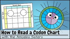 how to read a codon chart you