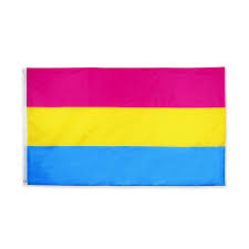 Pansexual people may be described as being gender blind showing that gender is not a factor in their attraction to a person. 90 150cm 3x5fts Lgbt Omnisexual Lgbt Pan Pride Pansexual Flag Wish