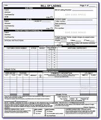 Experience indicates that even the simplest of mistakes or an oversight in a bill of lading can lead to complex and expensive problems at a later date. Example Bill Of Lading Form Vincegray2014