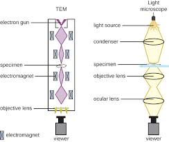 Instruments Of Microscopy Microbiology