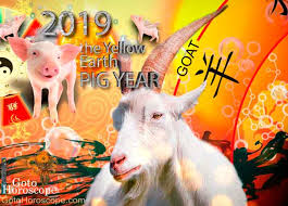 2019 Horoscope For Sheep Chinese New Year 2019 Horoscope