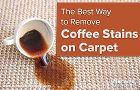 remove coffee stains on carpet