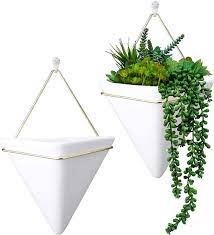 Hangerspace Large Wall Planter 2 Pack