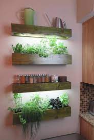 vertical garden indoor herbs indoors