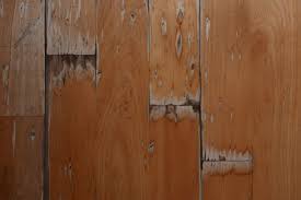 get hardwood floor repair in florida