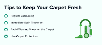 how to deep clean carpets by hand save