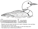 Just pick a coloring sheet, pay, and download! The Last Loon Activities For Kids