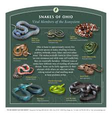 outdoor interpretive sign snakes ohio