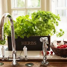 Windowsill Herb Garden Herb Planter Kit