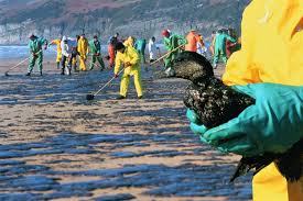 5 environmental consequences of oil spills