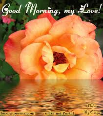 Top good morning images is a compilation of pictures with phrases of good morning. Good Morning Wishes For Love Pictures Images Page 8